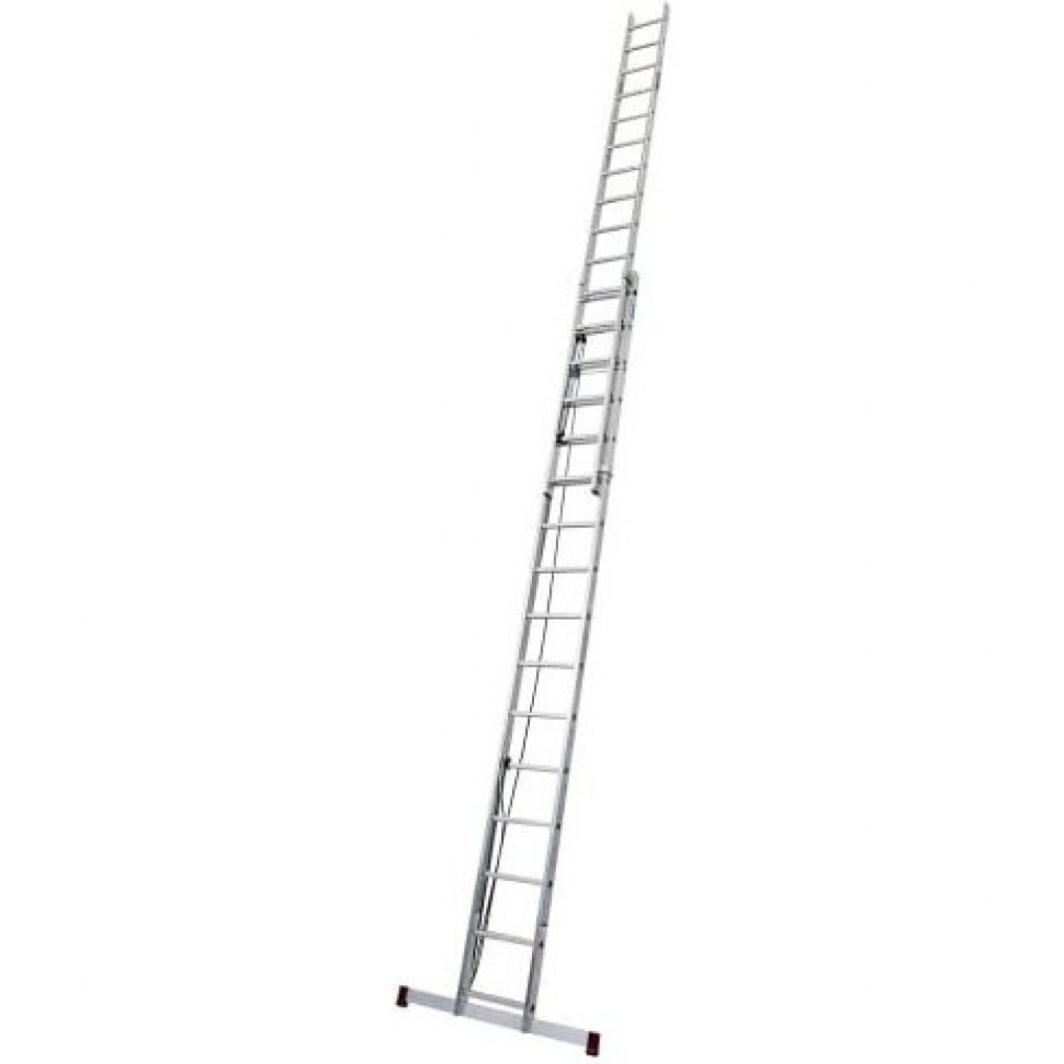 031525