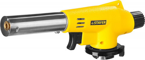 55584